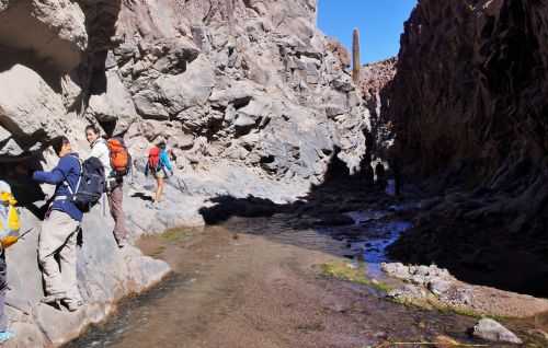 TREKKING NEL DESERTO DI ATACAMA 2015